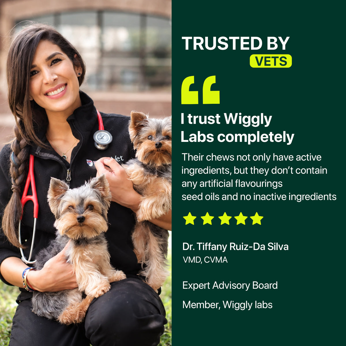 Advanced Daily Wellness Chews For Dogs Who Deserve The Best