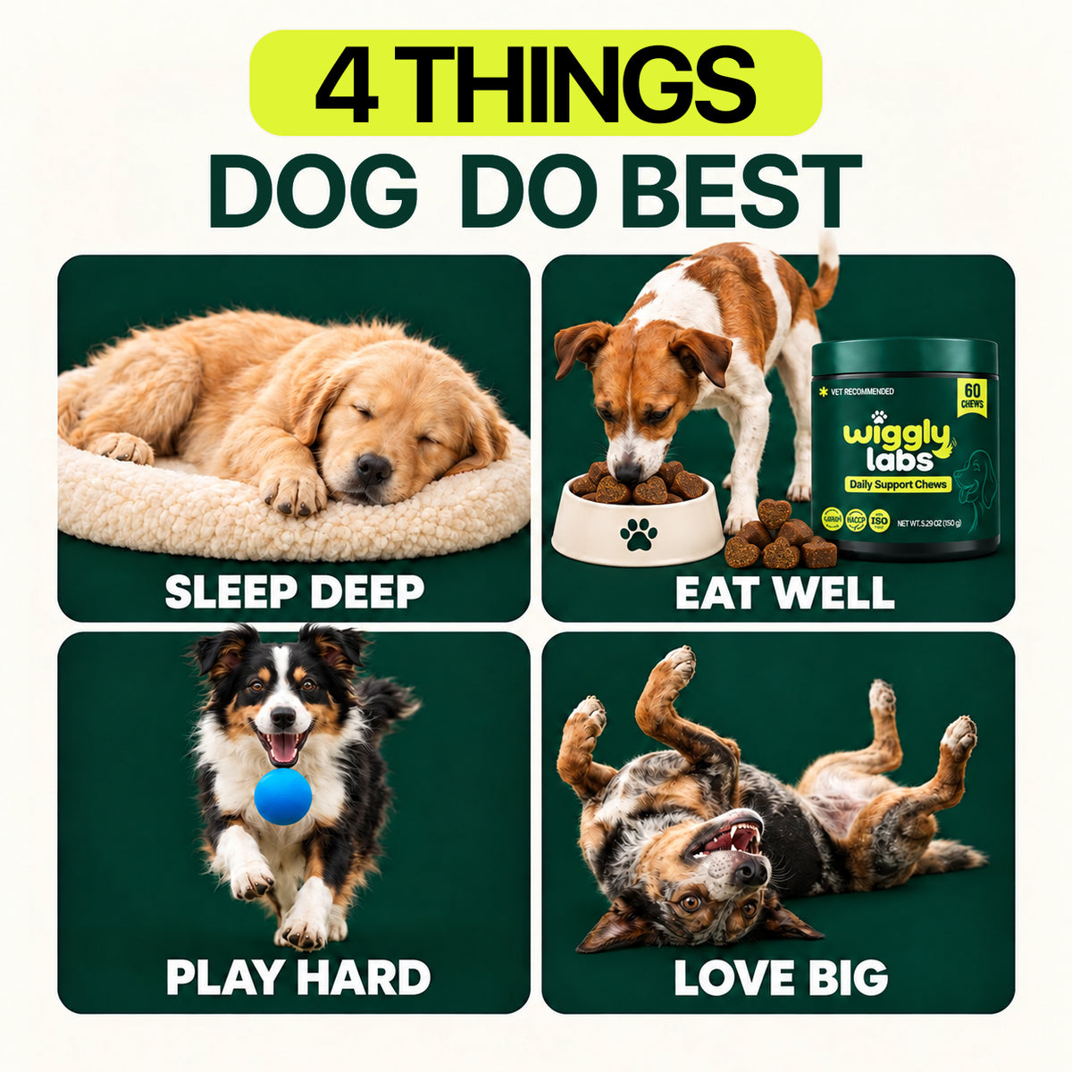 Advanced Daily Wellness Chews For Dogs Who Deserve The Best
