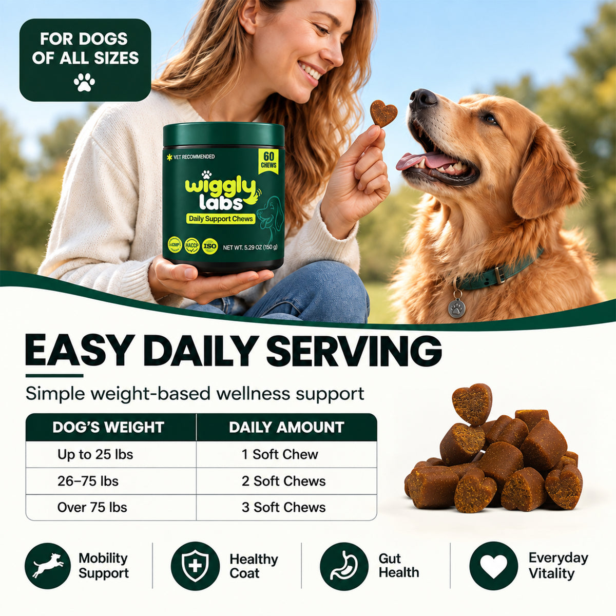 Advanced Daily Wellness Chews For Dogs Who Deserve The Best